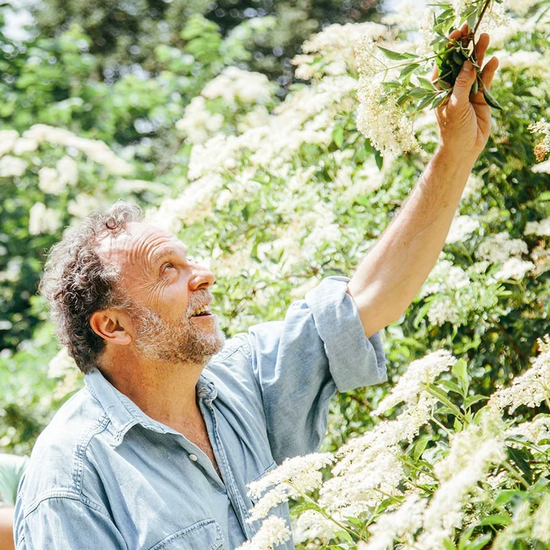 Bio-HolunderBlütenPerle 0,75L