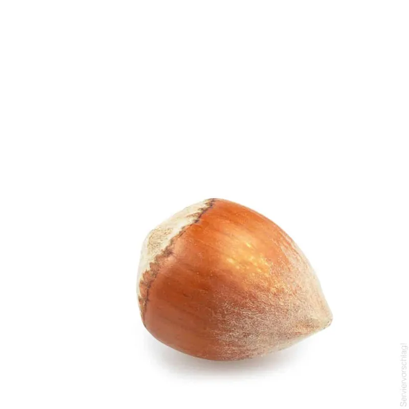 Haselnuss Sahnelikör - mini 40ml