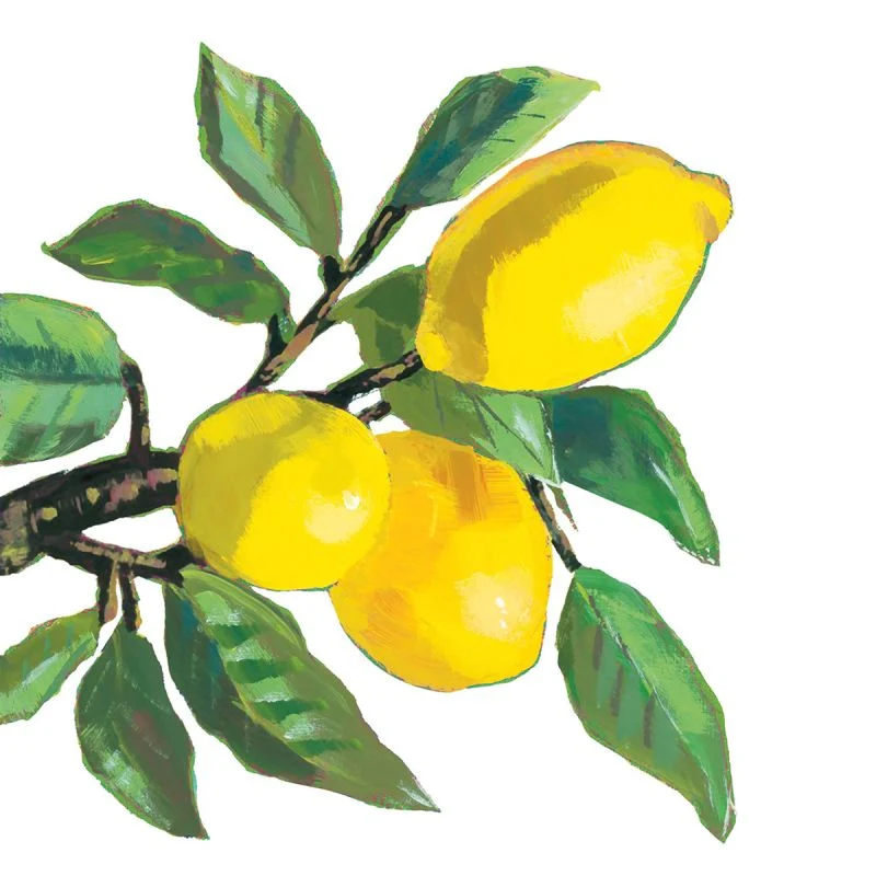 Limoncello Box – Dolce Vita zum Verschenken