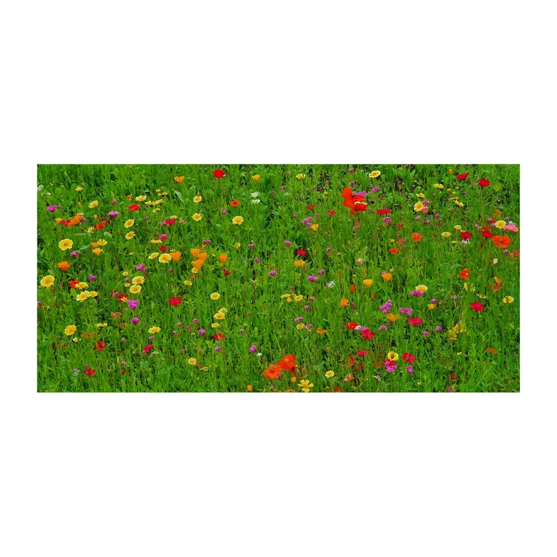 Bienenweide im Eierkarton, 6 Samenbomben - Blühende Zusammenarbeit – Geschenkset
