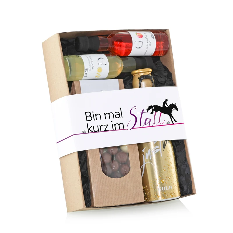 Hobby-Set Reiter - Bin mal kurz im Stall