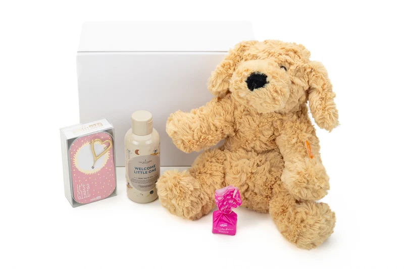 Geschenkbox Welcome Baby Girl – zur Geburt mit Kuschelhund, Badeöl & süßen Grüßen