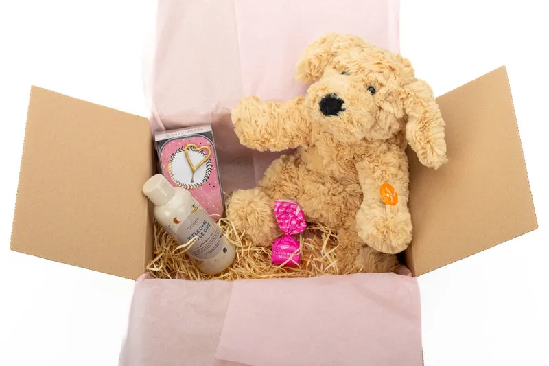 Geschenkbox Welcome Baby Girl – zur Geburt mit Kuschelhund, Badeöl & süßen Grüßen