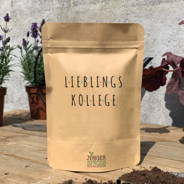 Geschenkbox "Lieblingskollege" mit Tasse, Tee und Blumen für Kollegen und Mitarbeiter