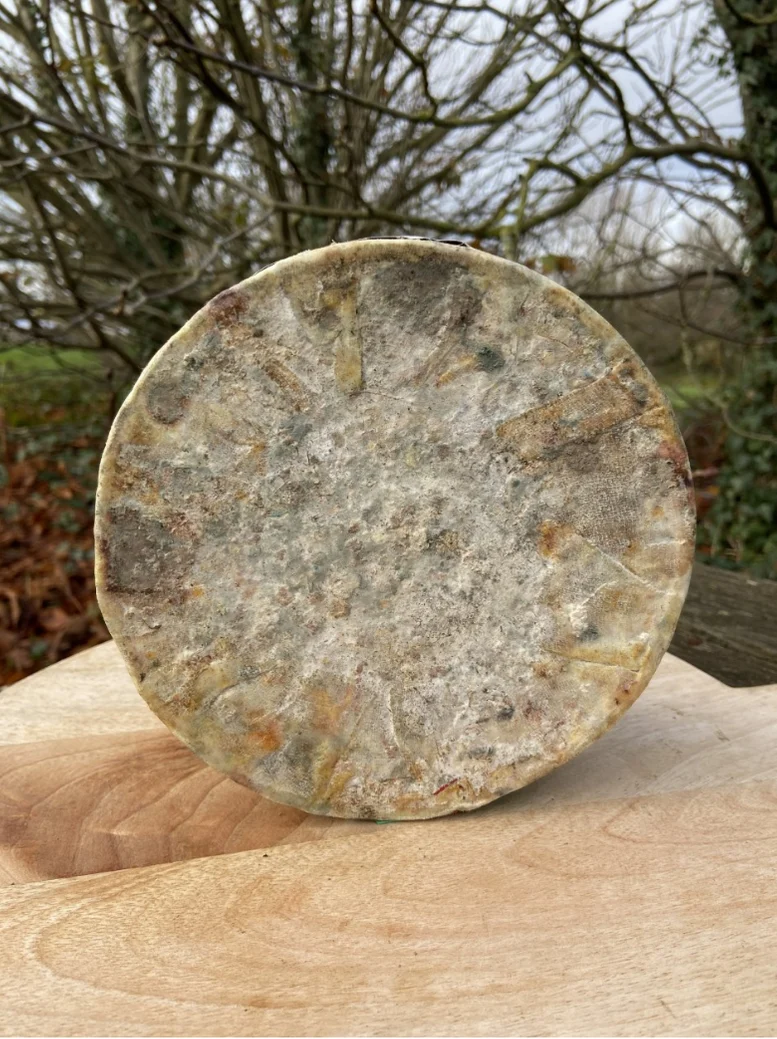 Goat's Cheese Truckle