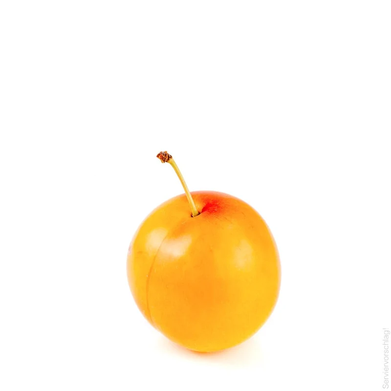 Alter Mirabell
