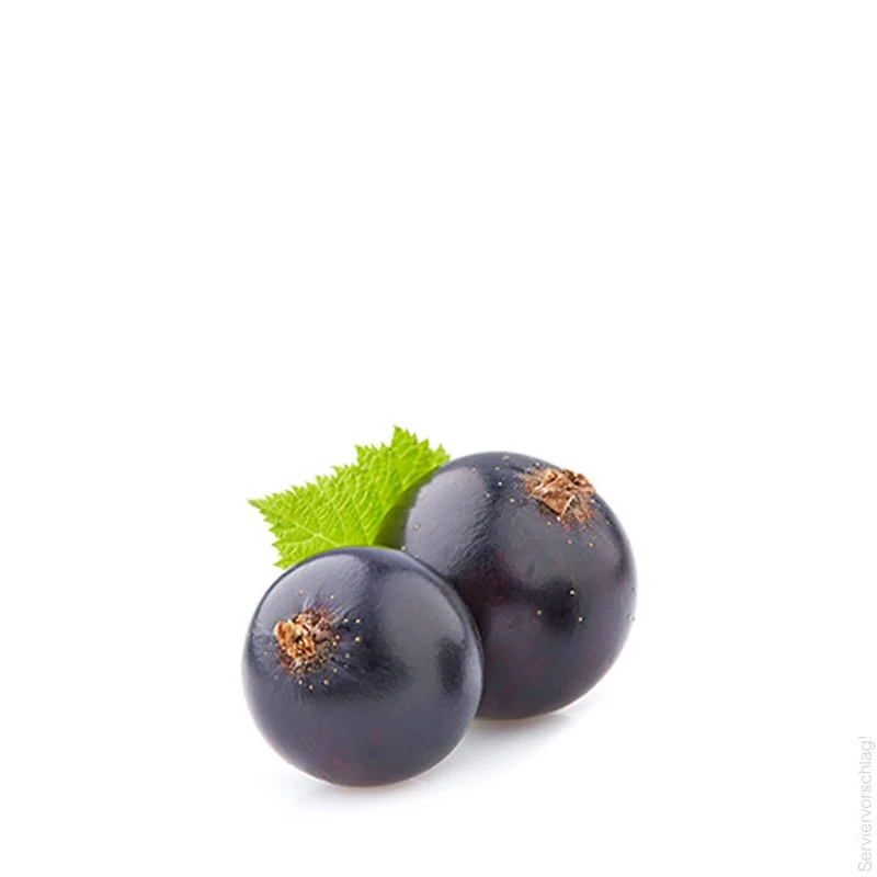 Alte Schwarze Johannisbeere