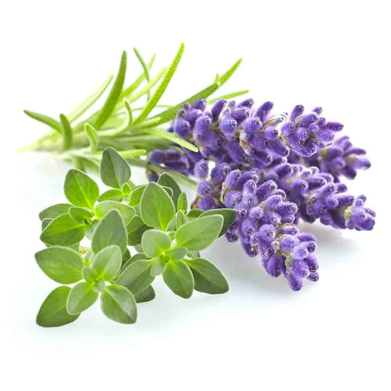 Gin Sweet Herbs