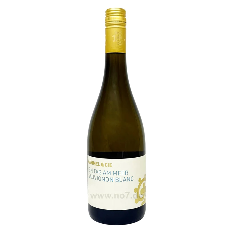 Ein Tag Am Meer Sauvignon Blanc 2025 - WG Hammel 0,75l