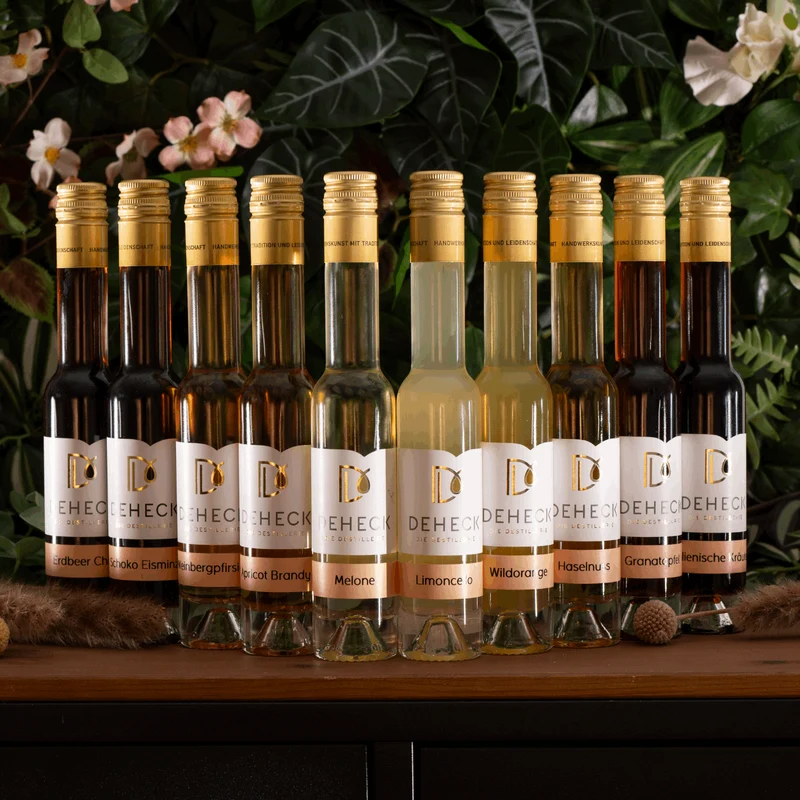 Probierpaket Likör fruchtig & kreativ | 10 x 0,1 L Fruchtlikör Set