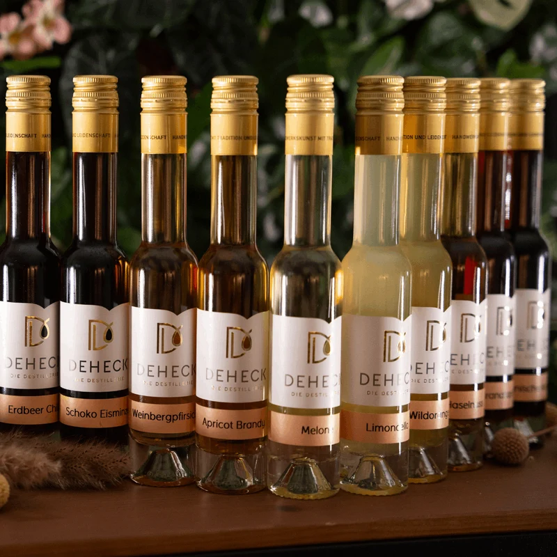 Probierpaket Likör fruchtig & kreativ | 10 x 0,1 L Fruchtlikör Set