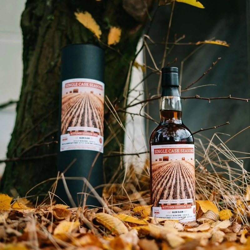 Glen Elgin | 13 Jahre | 2008/2021 | Autumn Edition 2021 Signatory Single Cask Seasons | 51,2%