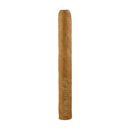 John Aylesbury Jacob van Meer Petit Corona