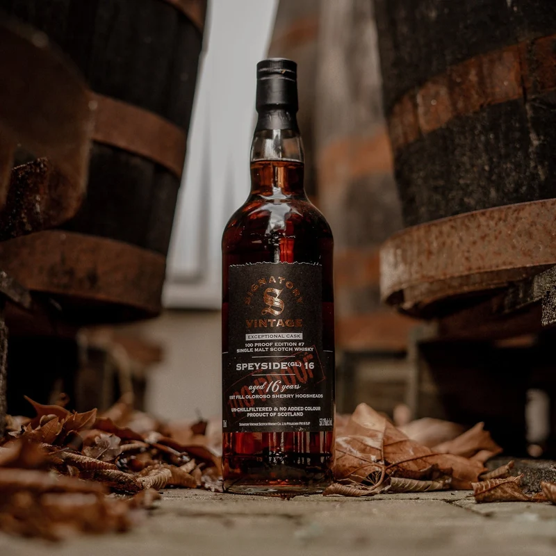 Speyside (GL) | 100 Proof Edition #7 | 16 Years | Signatory Vintage | 57,1%