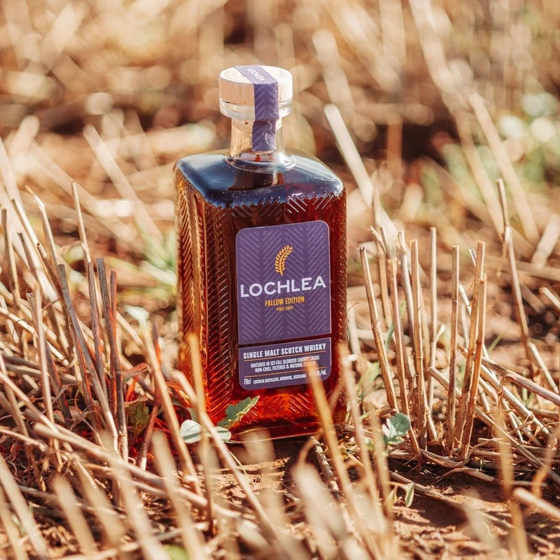 Lochlea | Fallow Edition (First Crop) | 46%