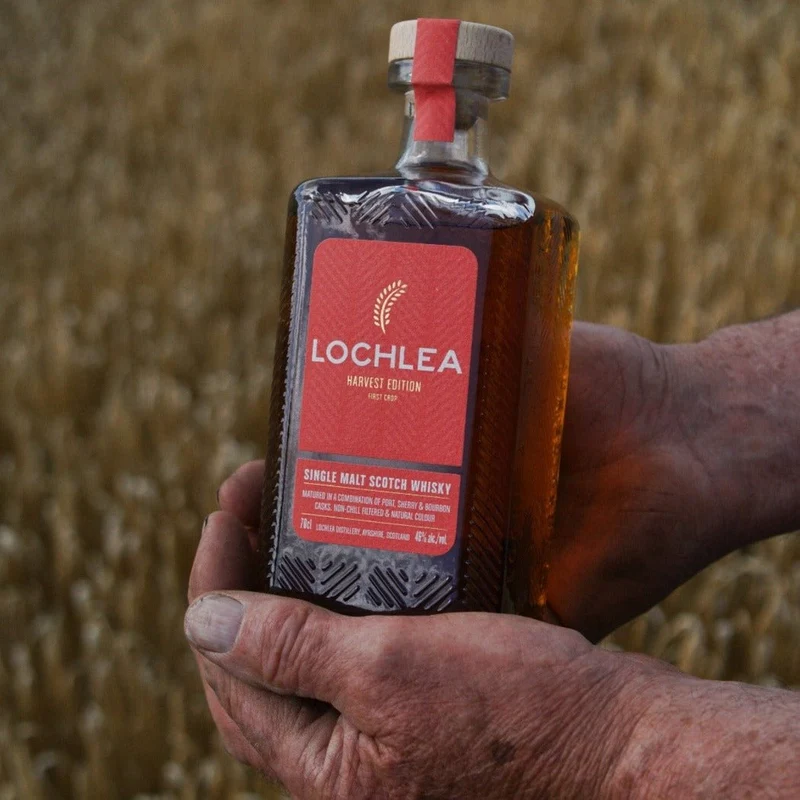 Lochlea | Harvest Edition (First Crop) | 46%